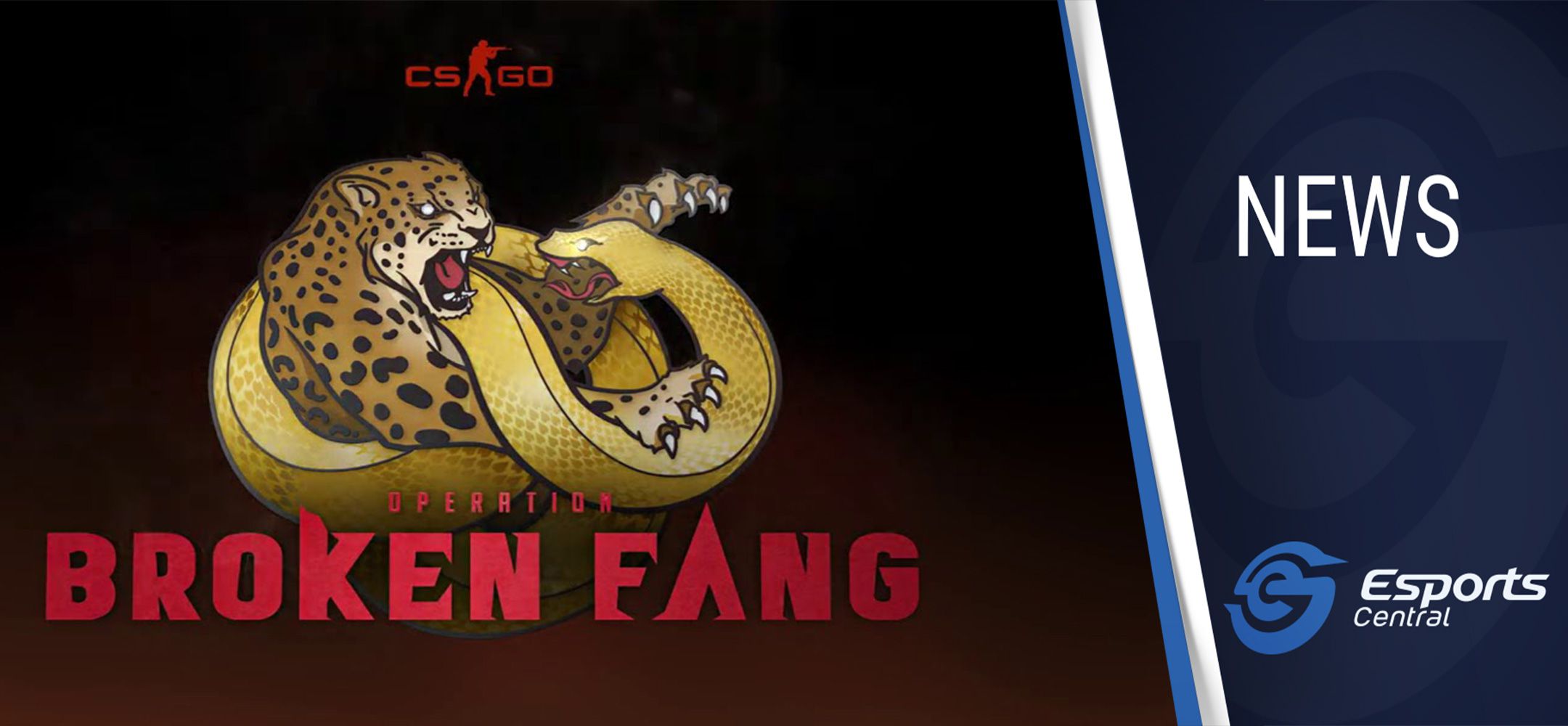 Operation Broken Fang